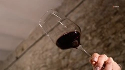 Алкоголь повышает риск развития нескольких видов рака — минздрав Ставрополья
