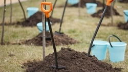 Дополнительное озеленение провели на новом бульваре в Зеленокумске