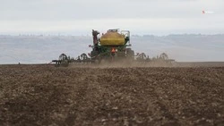 Ранними яровыми засеяли более 139 тыс. га ставропольских полей
