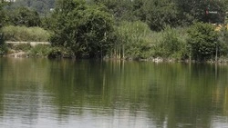 На Ставрополье развивают отрасль рыбоводства