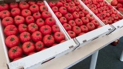 Производителям хлеба, молока, мяса и круп на Ставрополье разрешат продавать продукцию со своих прилавков