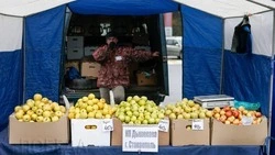 Количество продуктовых мини-рынков увеличивают на Ставрополье