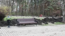 Общественные территории благоустроят в Советском округе по госпрограмме