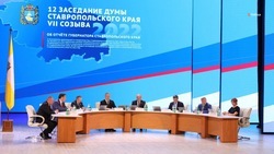 Правительству Ставрополья предстоит исполнить ряд поручений губернатора по итогам Послания