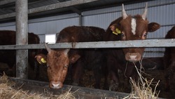 Фермерские хозяйства Грачёвского округа Ставрополья в 2021 году произвели 285 тонн мяса
