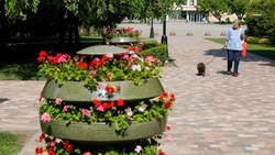 Жителям Ставрополья предстоит выбрать объекты по благоустройству на 2023 год