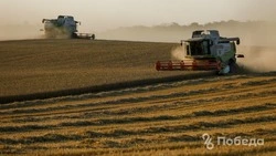 Аграрии Ставрополья получили займы на 15 миллиардов рублей