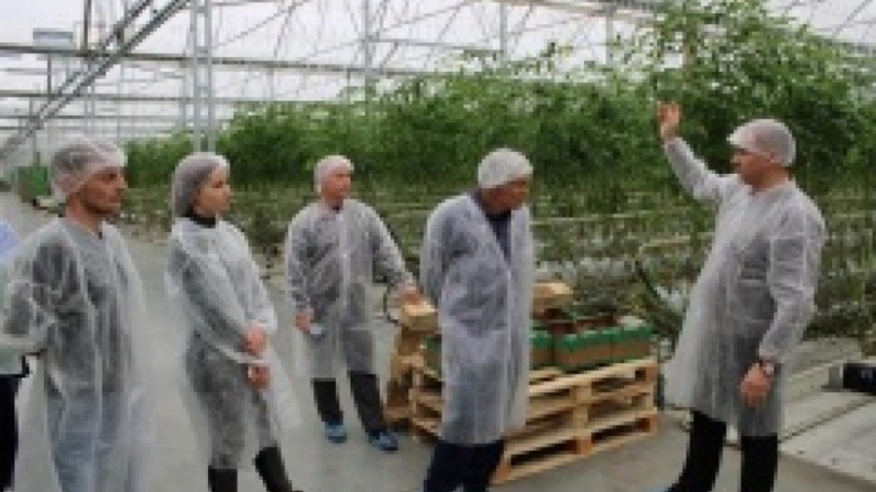 Участники «Школы фермера» прошли стажировку на крупнейших предприятиях Ставрополья