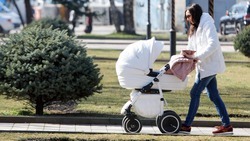 Власти Ставрополья поддержат беременных жён мобилизованных