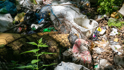 Более 50 тысяч тонн мусора вывезли со столетней свалки на Ставрополье
