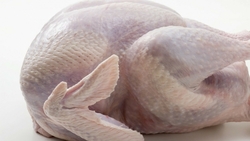 Ставропольское мясо птицы экспортируют в 35 стран