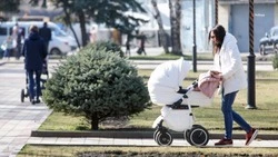В Ставропольском крае более 47 тысяч семей получили господдержку