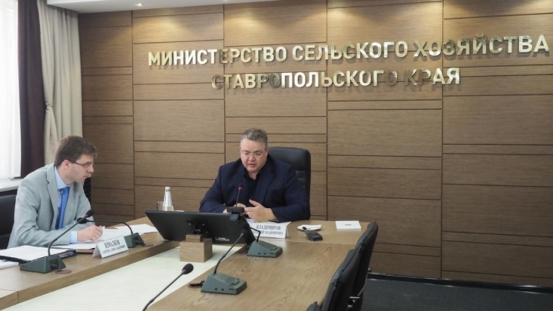 Губернатор Ставрополья рассказал главе Минсельхоза России о ходе жатвы